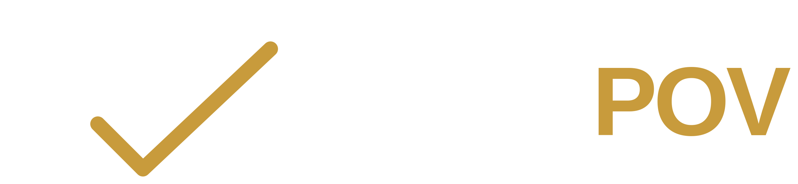 Audit POV