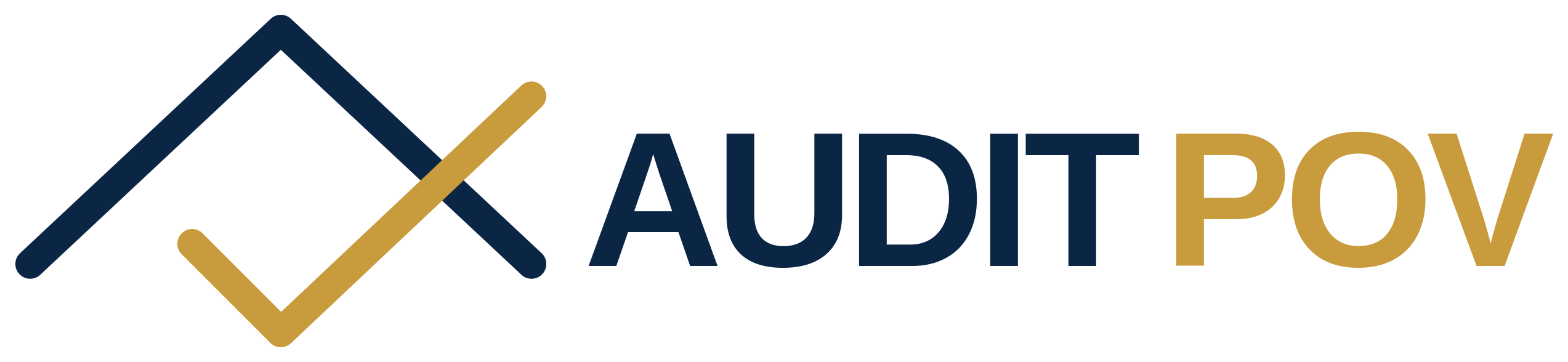 Audit POV